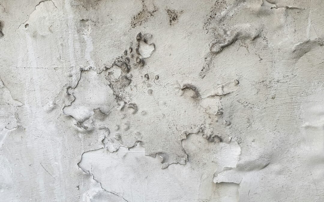 Remontées capillaires et salpêtre : comment protéger durablement votre maison à La Rochelle ?