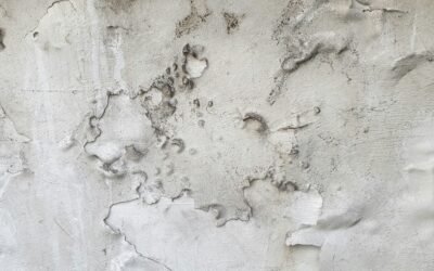 Remontées capillaires et salpêtre : comment protéger durablement votre maison à La Rochelle ?