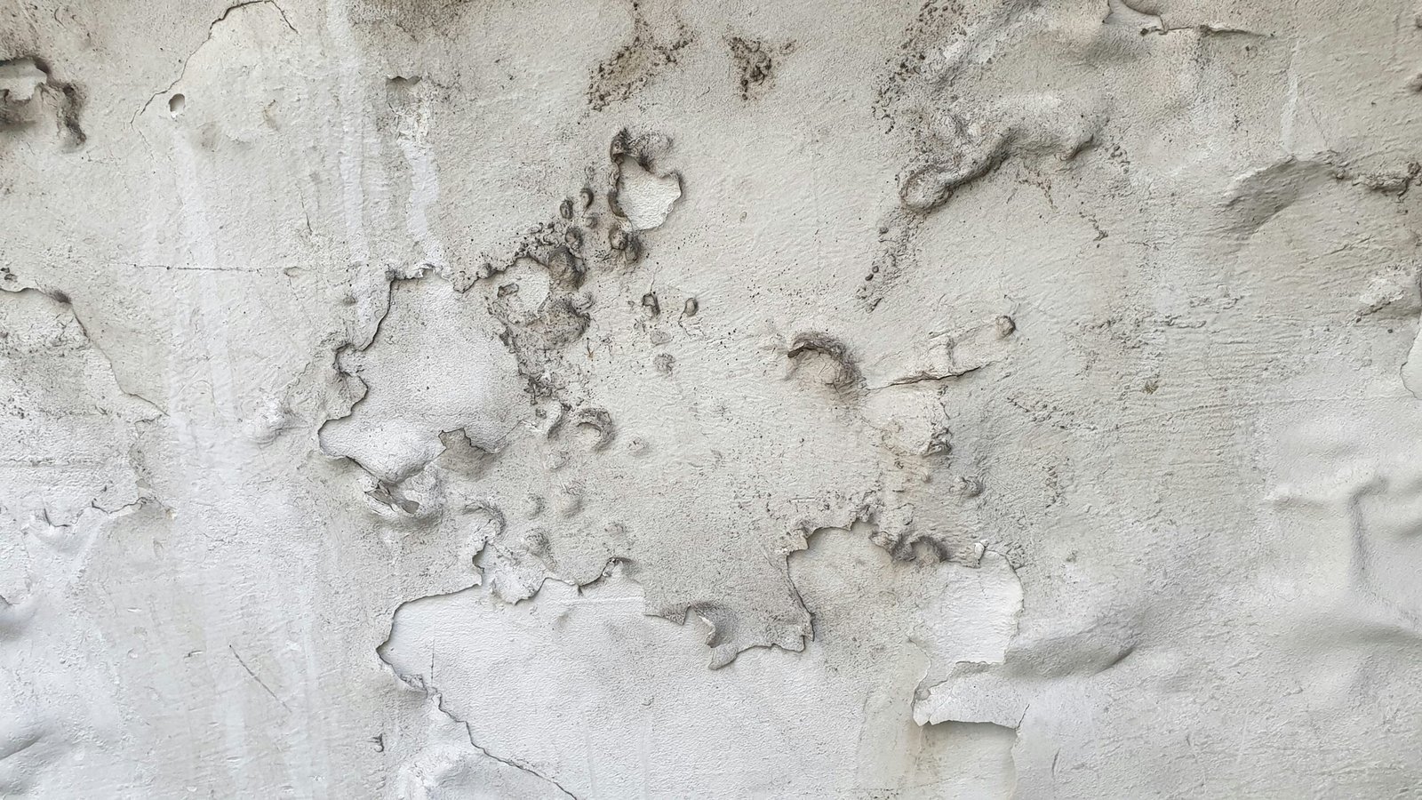 Remontées capillaires et salpêtre : comment protéger durablement votre maison à La Rochelle ?
