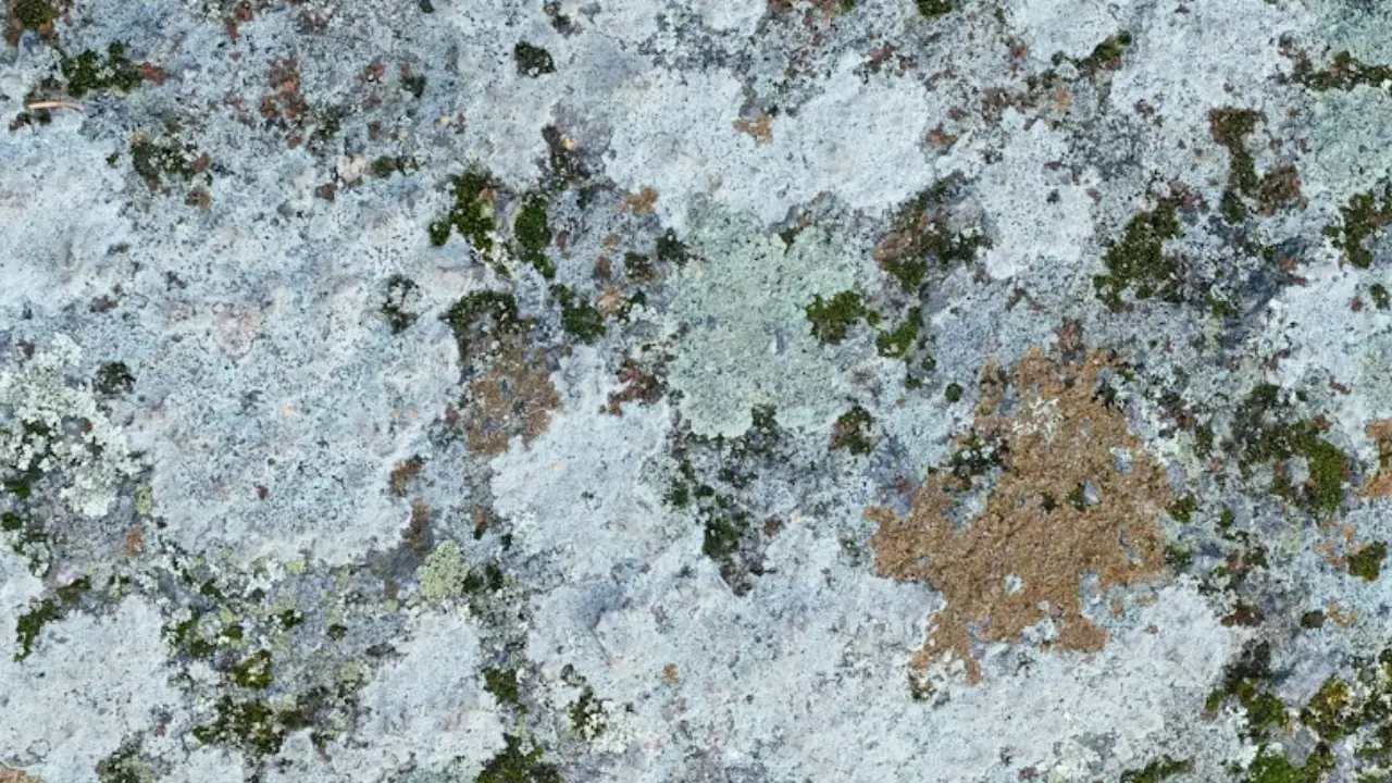 Gros plan sur une façade de maison ancienne. Elle est totalement blanche avec un volet jaune au milieu
