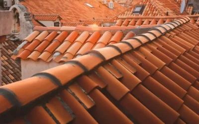 Nettoyage et démoussage de toiture en Charente-Maritime : à quelle fréquence intervenir selon votre couverture ?